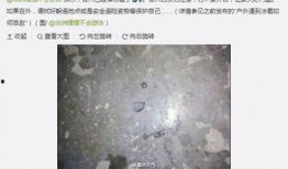 重庆天气最新爆料,局部地区暴雨预警！