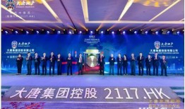 大唐集团爆料新闻事件最新,最新爆料事件深度解析