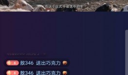 新闻爆料牧羊人视频播放